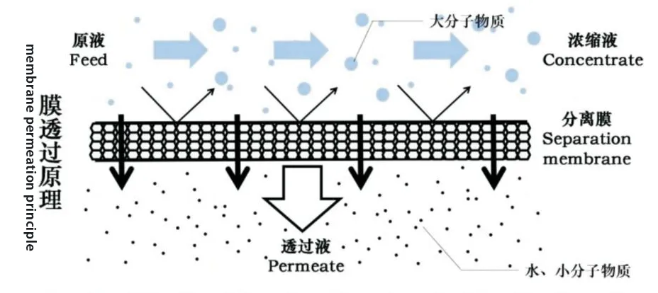 Membrane filtration Working Principle