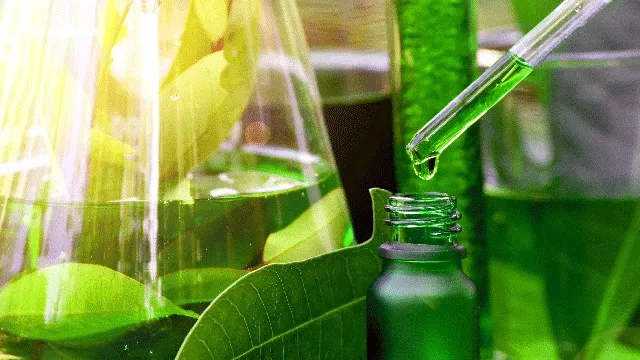 Membrane Separation Technology for Plant Extraction: Applications, Advantages, and Industry Outlook