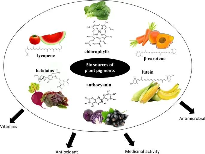 Membrane Separation Technology Has Become the Development Trend of the Natural Pigment Industry