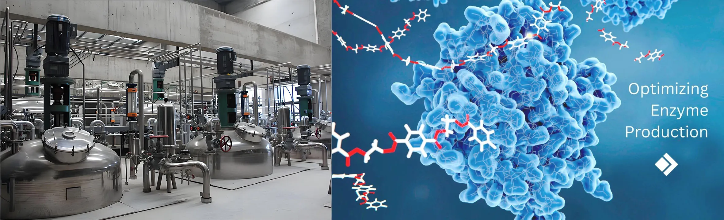 Application of Membrane Separation Equipment in Enzyme Production