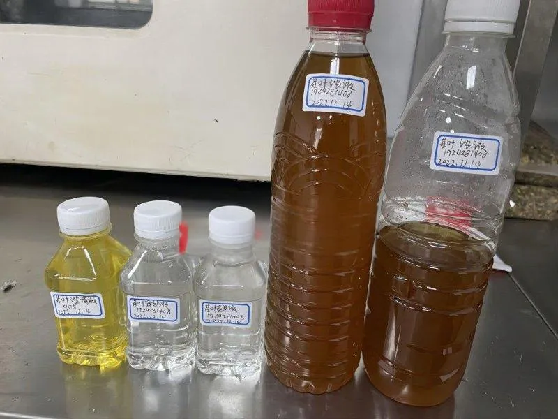 Tea Production