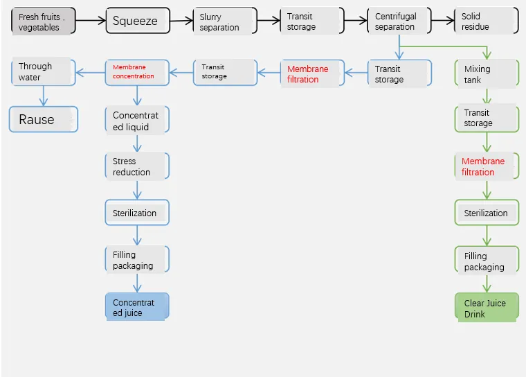 Membrane Production Process Flow Chart of Fruit and Vegetable Juice Beverages
