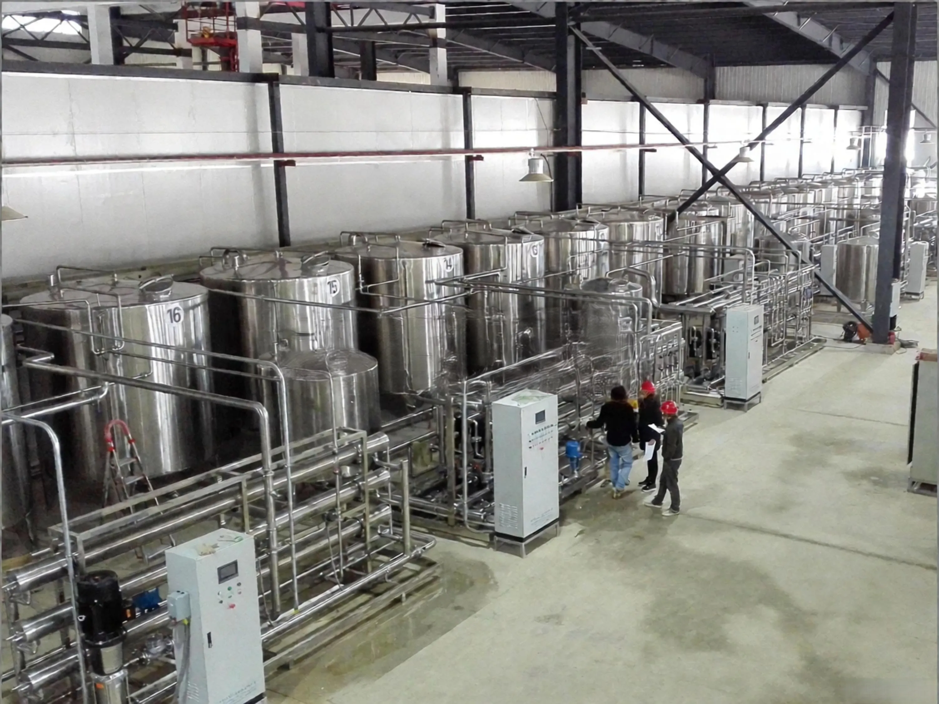 Membrane Separation Technology for Natural Pigments