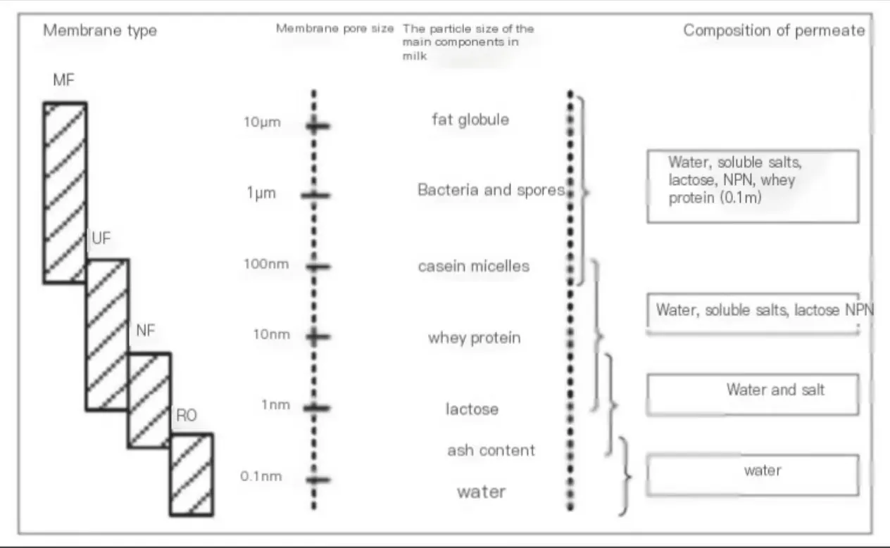 Main Components in Milk